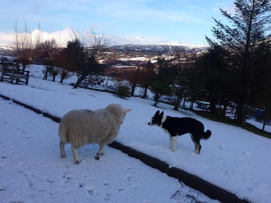 Torran B & B Ullapool Zewnętrze zdjęcie